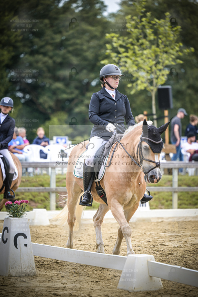 DOS_3820 | Entdecke hochwertige Reitturnierfotos von Foto Oger. Professionell, emotional und authentisch – jetzt Lieblingsmomente im Shop bestellen. - Realisiert mit Pictrs.com