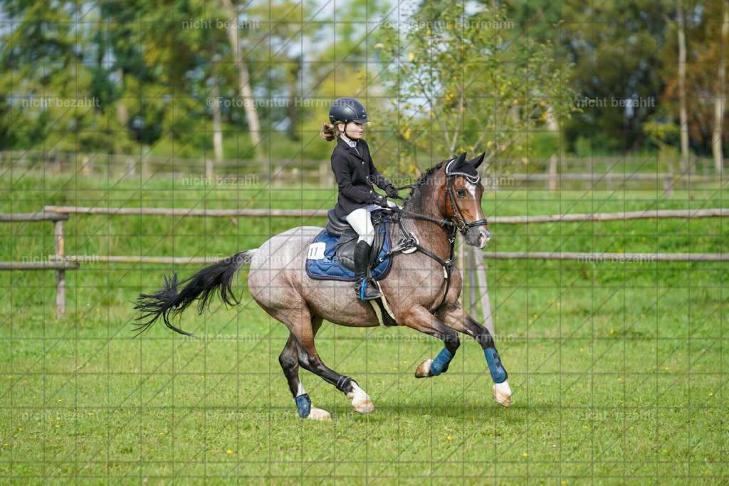 20230917-FAH09192 | Landsberg am Lech, 2023, Kaufbeuren, Kempten, Allgäu, Turnierfotografen Bayern, Fotoagentur Herrmann, Turnierbilder, Reitsport Fotos, Pferdefotograf, Augsburg, Bad Tölz, Dachau, Karlsfeld, Memmingen, Buchloe, Schwabmünchen