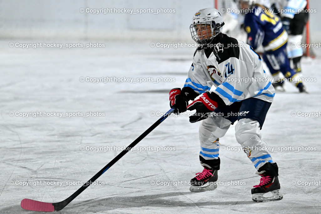 Wildcats Paternion vs. Unicorns Steindorf | #14 Kabon Nora UNICORNS STEINDORF, Wildcats Paternion vs. Unicorns Steindorf, Wildcats Paternion vs. Unicorns Steindorf am 02.01.2026 in Paternion (Eislaufplatz Paternion), Austria, (Photo by Bernd Stefan)