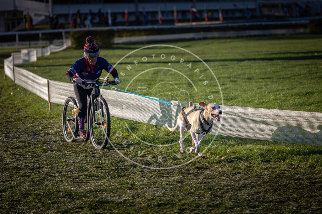 CaniXpix_0L8A3442 | Hundefotografie, Tierfotograf, Pfotenfotografie, Fotoshooting Hund, Hunde Portrait, Hundesport, Hundeportraits, Heideshooting, Hunde, Sportfotograf, Hundefotograf, Turnierhundsport, THS,  - Realisiert mit Pictrs.com