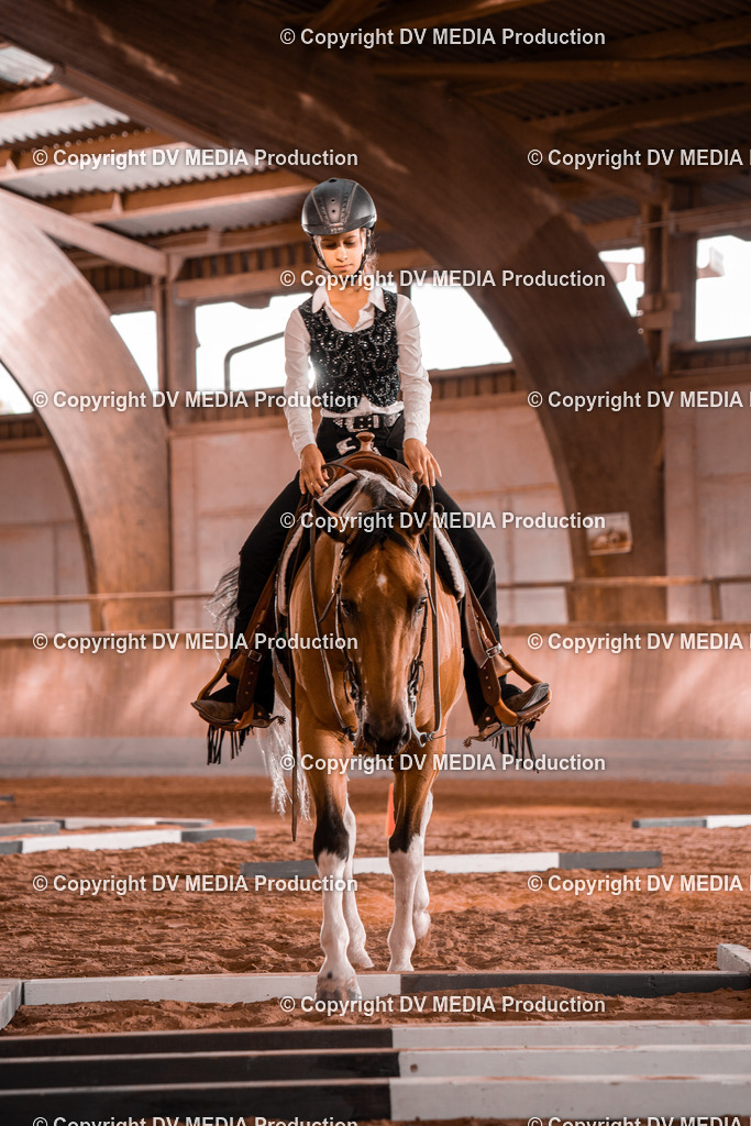 NE300081 | dv-media-shop - Realisiert mit Pictrs.com