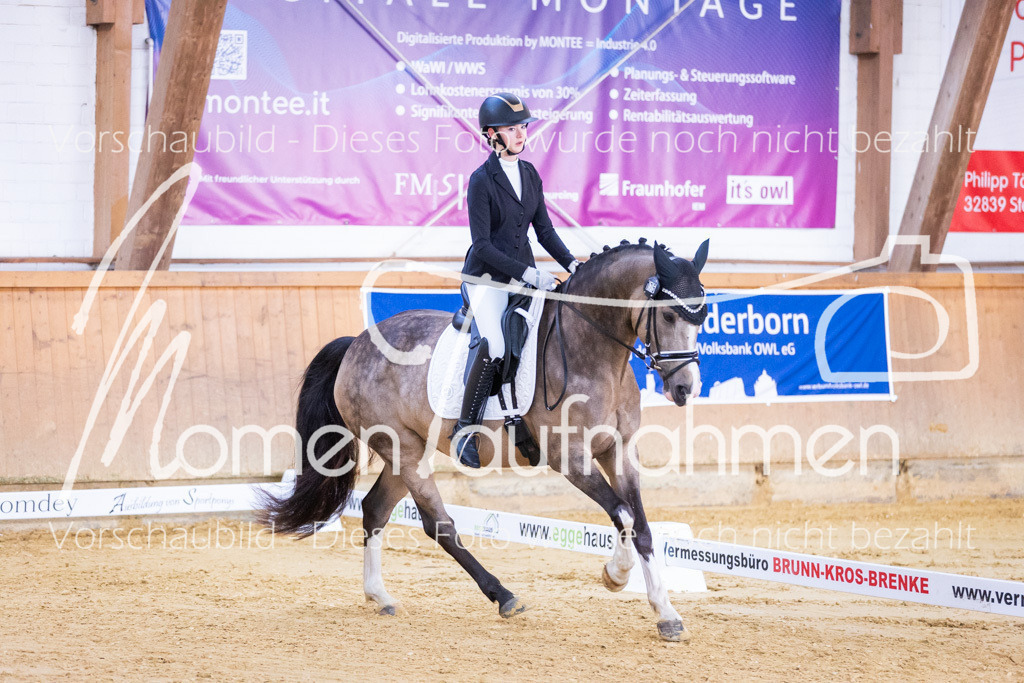 Sth-A-Dre-1St-062 | MomenTaufnahmen Pferdesportfotos