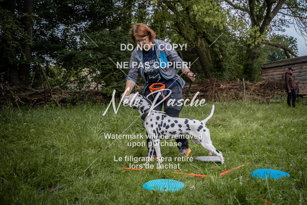 nelerasche_SoEarlyDog_05 | nelerasche