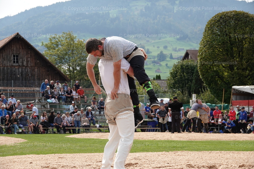DSC08488 | Schwingen - Realisiert mit Pictrs.com