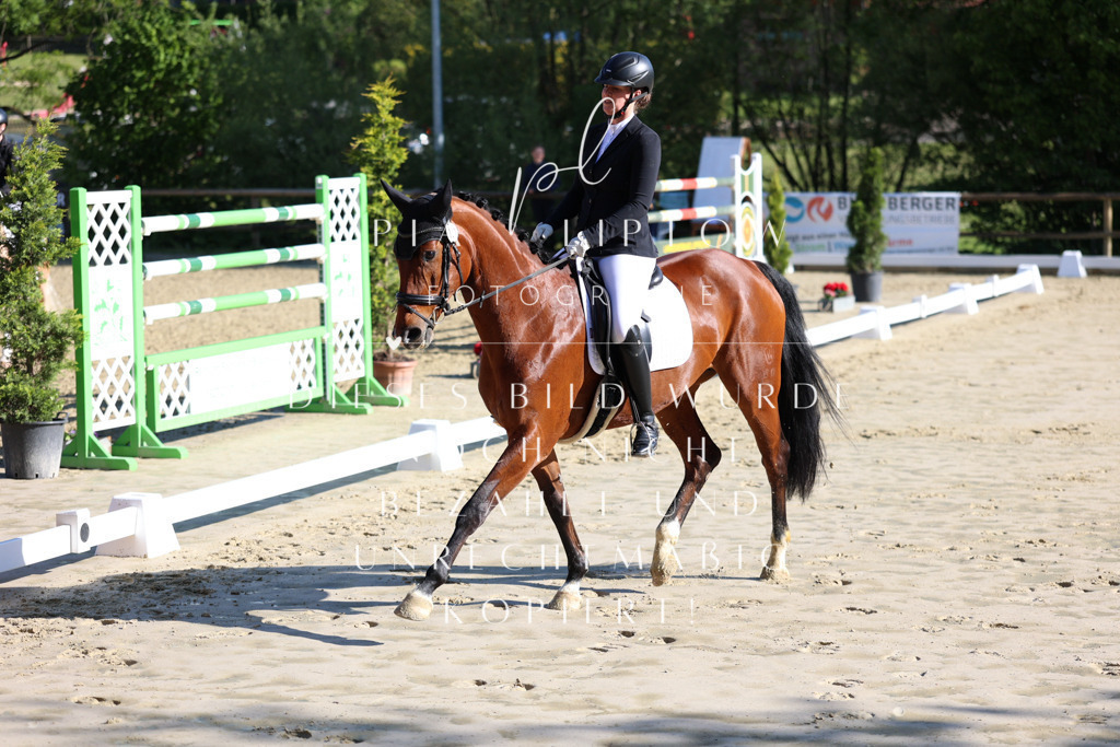 IMGT2675 | pl-fotografie