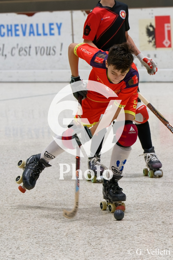 DSC_3295 | Velletri Photo