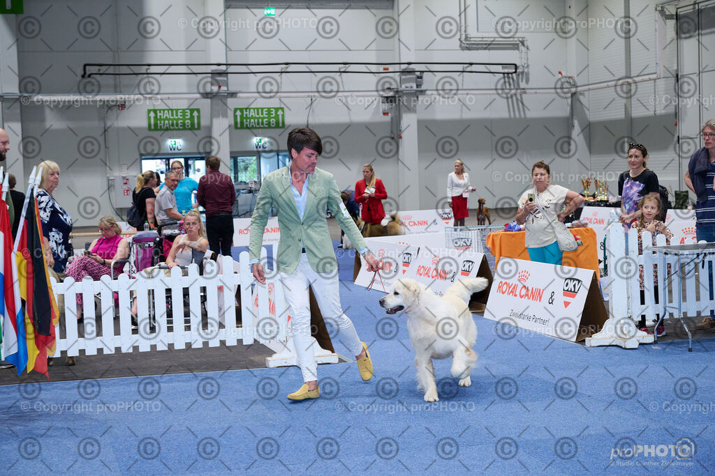 202406_ÖKV-IHA-Tulln24_NZ9_9600 | proPHOTO - Realisiert mit Pictrs.com