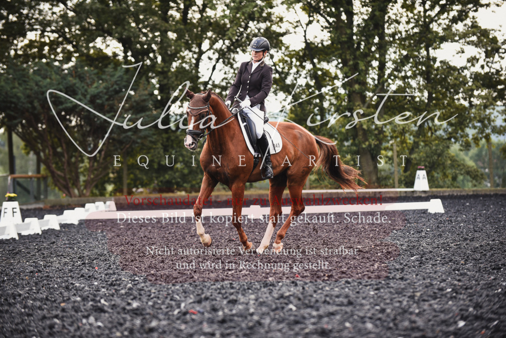 DSC_4007 | Pferde- und Turnierfotografie in Westsachsen. Pferdeportraits, Auftragszeichnungen und intuitive Kunst.