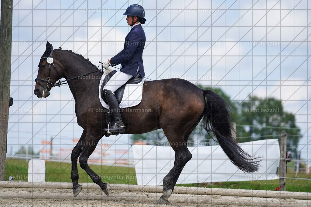 20230826-FAH05531 | Forstinning, 2023, Dressurturnier, Turniersportbilder, Turnierfotografen Bayern, Fotoagentur Herrmann, Reitsportfotografie, Turnierbilder
