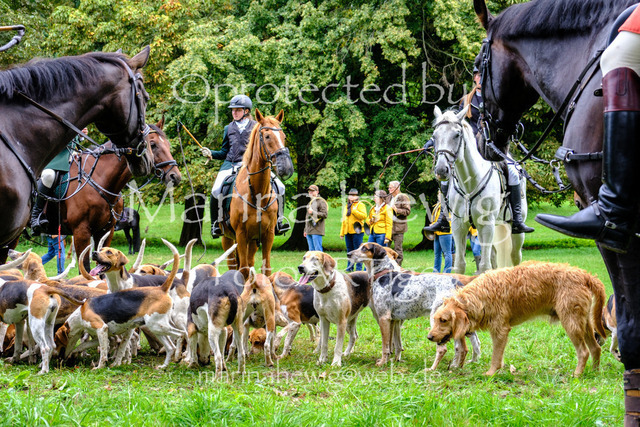 Jagd Perdoel 26 Fuji-9744_MarinaHewig | Fotografie, FotoArt, PferdesportArt, Pferdesportfotografie, Landschaftsfotografie, Reisefotografie, Reise, Pferde - Realisiert mit Pictrs.com