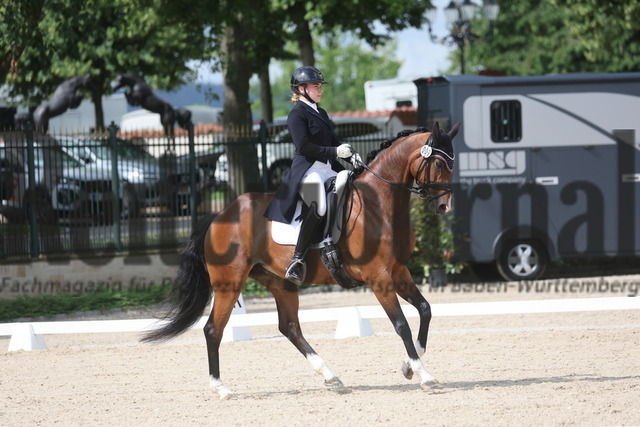 Güglingen_2024_Prfg.Nr.06_Amateur-Dressurprfg_Kl.S_Sian Frieß_Aprilia 8 (9) | Alle Fotos der Reiterjournal Fotografin Doris Matthaes im Reiterjournal Online-Fotoshop. - Realizado com Pictrs.com