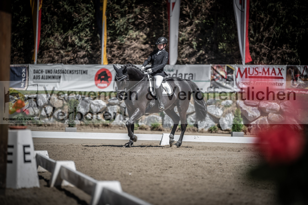 DSC_0232 | equestrian-live-com