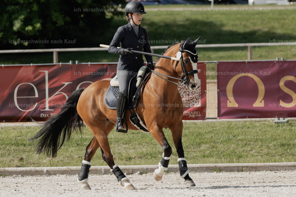 WE_ST_Stoib_337_PI2025_919 | Pferd International München 2025