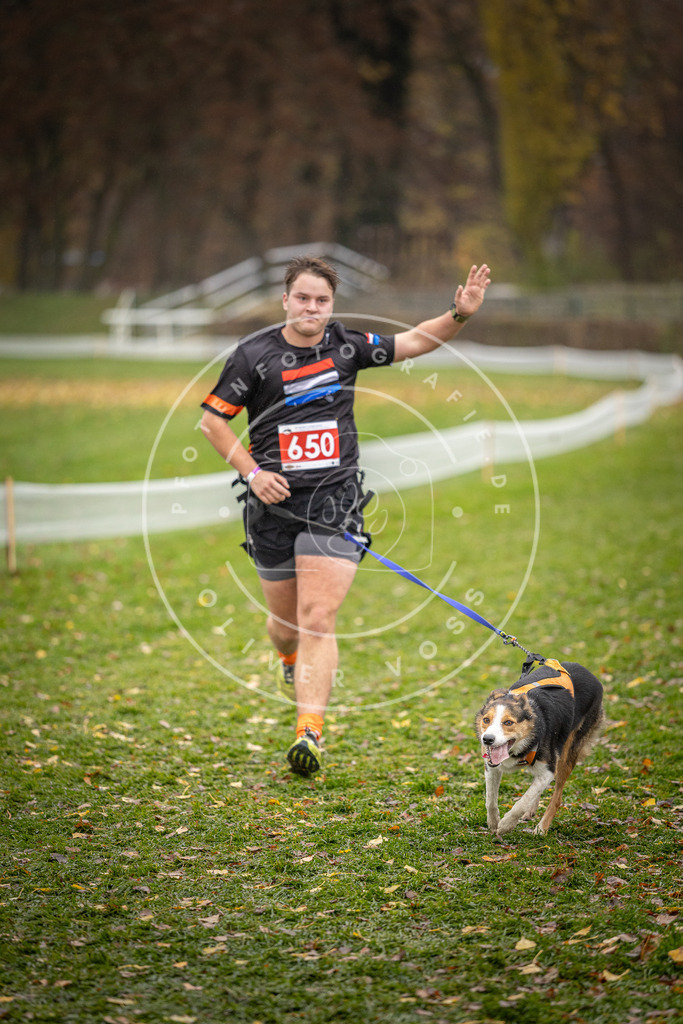 CaniXpix_DV3A0076 | Hundefotografie, Tierfotograf, Pfotenfotografie, Fotoshooting Hund, Hunde Portrait, Hundesport, Hundeportraits, Heideshooting, Hunde, Sportfotograf, Hundefotograf, Turnierhundsport, THS,  - Realisiert mit Pictrs.com