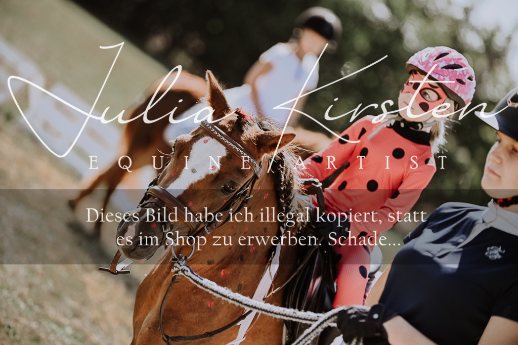 DSC_8826 | Pferde- und Turnierfotografie in Westsachsen. Pferdeportraits, Auftragszeichnungen und intuitive Kunst.
