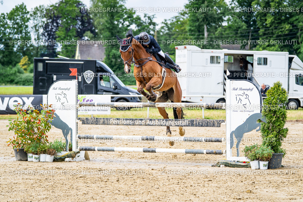 DSC03999 | Pferdegrafie