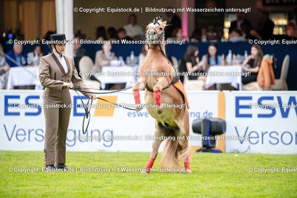 20250606_Lange-Pferdenacht_0646 | Foto: Thomas Hartig