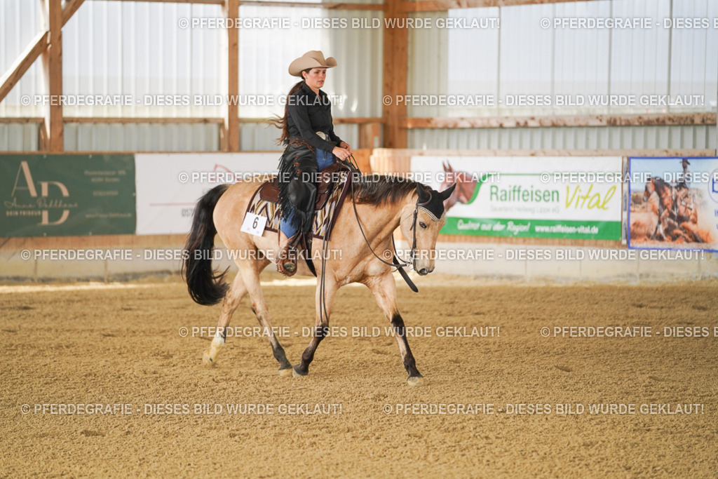 DSC02500 | Pferdegrafie