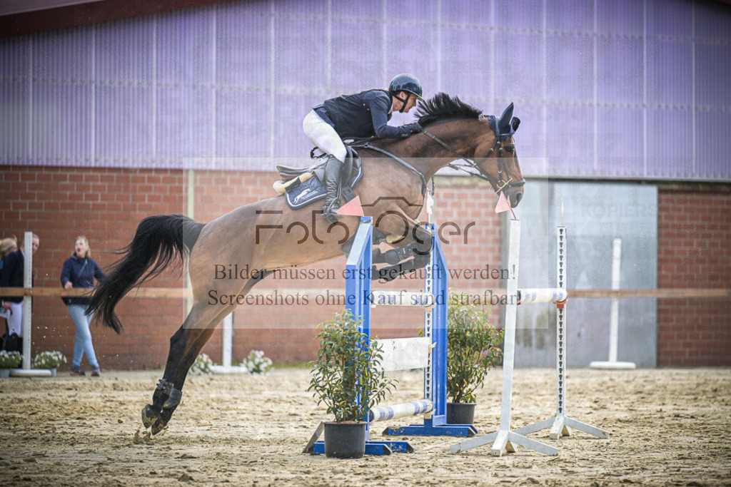 DOS_2583 | Entdecke hochwertige Reitturnierfotos von Foto Oger. Professionell, emotional und authentisch – jetzt Lieblingsmomente im Shop bestellen.Deutschlandweite Turnierfotografie. - Realisiert mit Pictrs.com