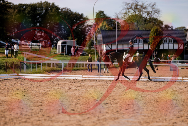 2026_10_03_Siefer-Hof_130850_Z81_62058346 | Professionelle Reitsport-, Turnier- und Eventfotografie von Robert Broda. Galerien mit ausgewählten und bearbeiteten Bildern direkt online ansehen und bestellen.