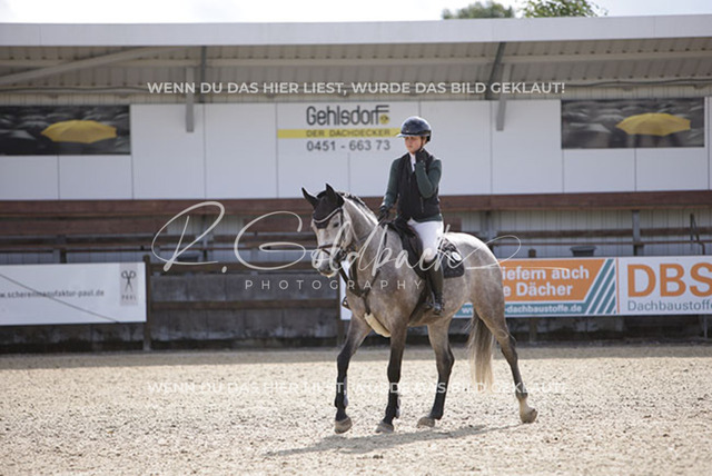 1J2A3063Peppi Pakarinen_ Carmen RD_ Kn121_ Havekost | Foto- und Videografie für alles rund ums Pferd. Hochwertige Bilder und Videos vom Spring- und Dressurreiten, Voltigieren & mehr. Jetzt aktuelle Veranstaltungen und Preise im Shop ansehen. - Realisiert mit Pictrs.com