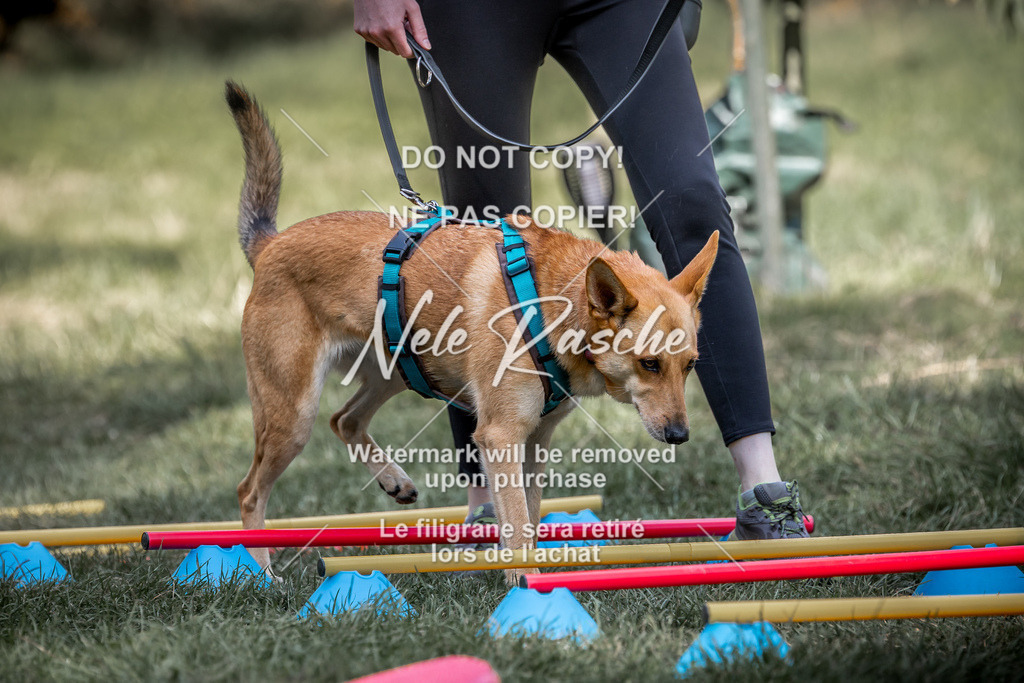 nelerasche_slaw24Sa_115 | nelerasche