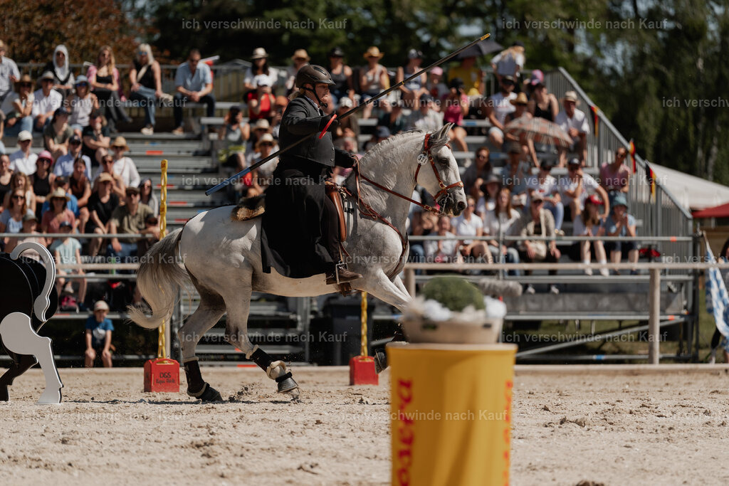 WE_SP_Stoib_321_PI2025_1584 | Pferd International München 2025