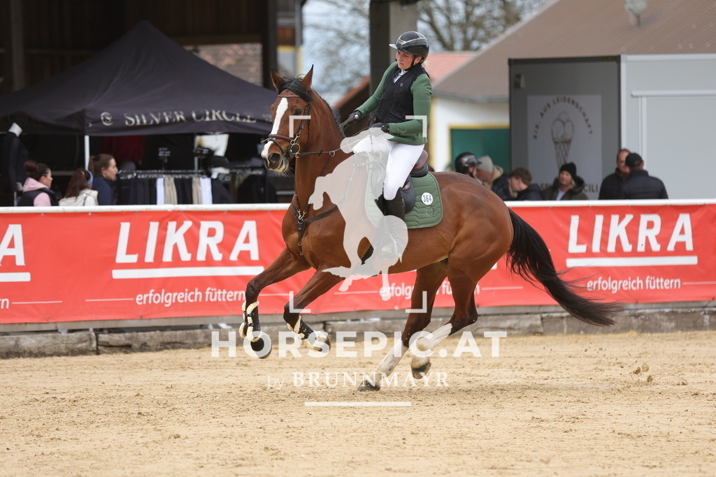 0P6A3222 | Willkommen bei Brunnmayr - Design & Fotografie – Ihrem Spezialisten für Reitturniere und Pferdeveranstaltungen in Oberösterreich, Salzburg und Bayern! Seit über 17 Jahren sind wir leidenschaftlich dabei.