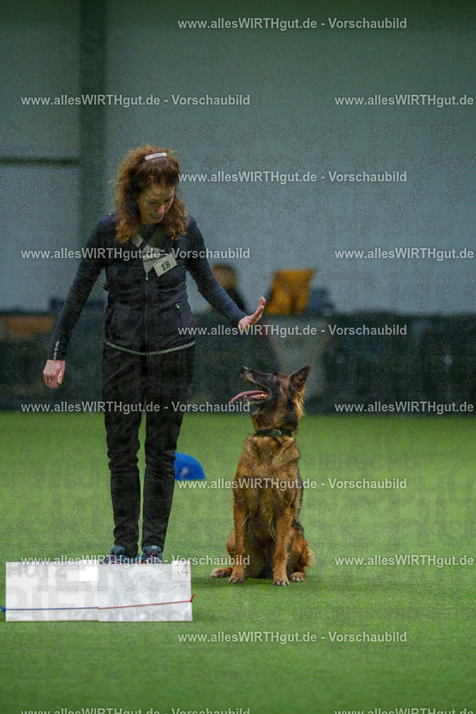 7R505649 | Professionelle Tierfotografie in Mönchengladbach von Daniel Wirth (allesWIRTHgut). Liebevolle & natürliche Bilder von Hunden & Katzen für unvergessliche Erinnerungen.