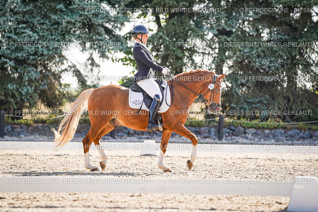 DSC00053 | Pferdegrafie