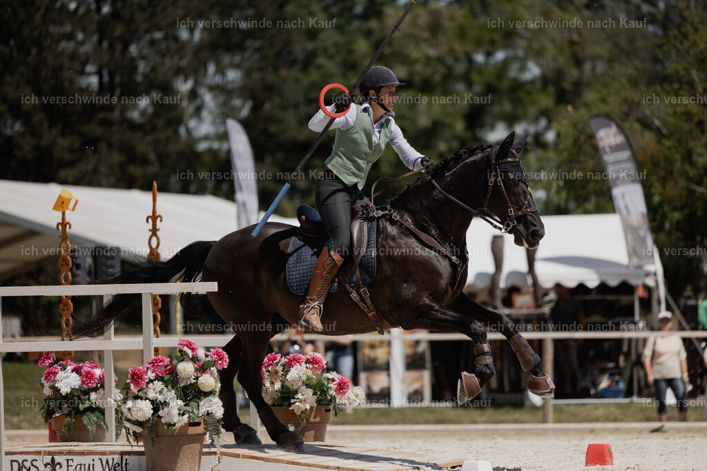 WE_SP_Stoib_315_PI2025_1857 | Pferd International München 2025