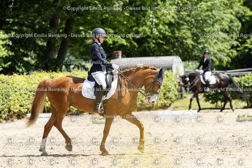 CL5A8892 | Emilia Reinking Fotografie - Realisiert mit Pictrs.com