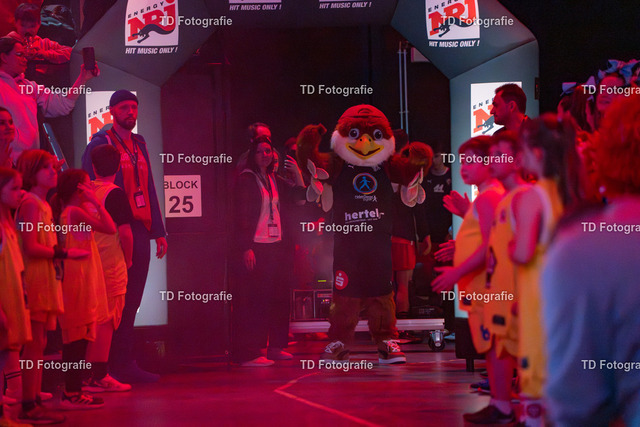 nbg_falcons-03734 | Fotogalerie von Thomas Dettweiler mit Eventbildern und lizenzfreien Fotos. Perfekt als Wandbild, für Büro, Website oder private Nutzung. - Realisiert mit Pictrs.com