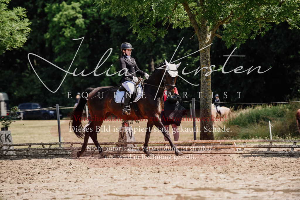 DSC_1091 | Pferde- und Turnierfotografie in Westsachsen. Pferdeportraits, Auftragszeichnungen und intuitive Kunst.