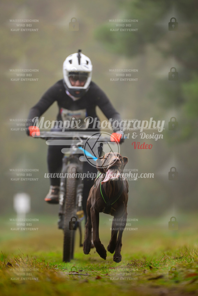 MompixPhotography_Bischwiller2025_Bike-43 | mompixphotography