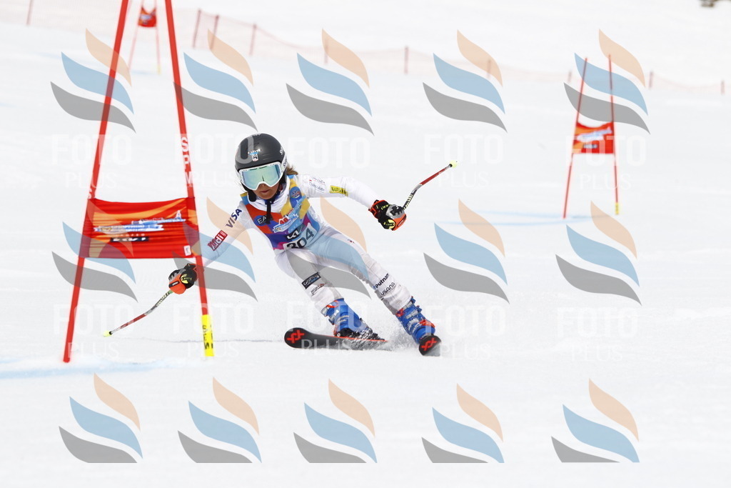 _U3G7571 | holidayphoto