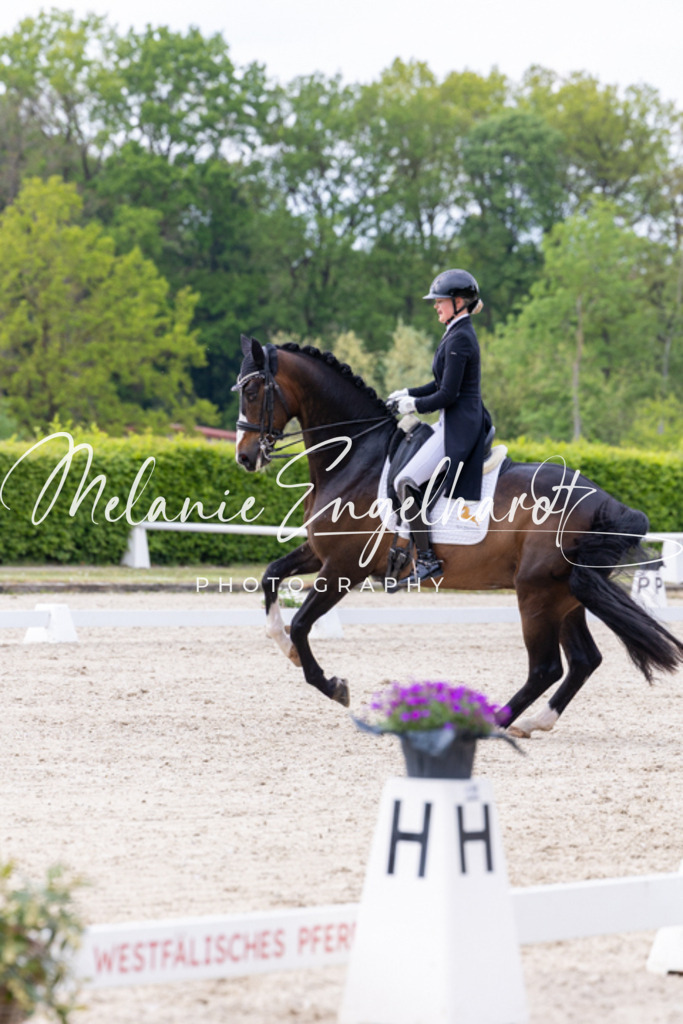 7I8A1447 | melanie-engelhardt-photography - Realisiert mit Pictrs.com