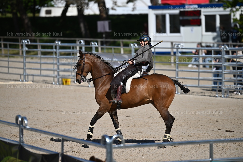 PI26_COW_Sara Landvogt226_7102.JPG | working equitationturnier fotograf videograf stoibphotography marixx film working equitation deutschland reitsport turnierfotografie eventfotografie equestrian events