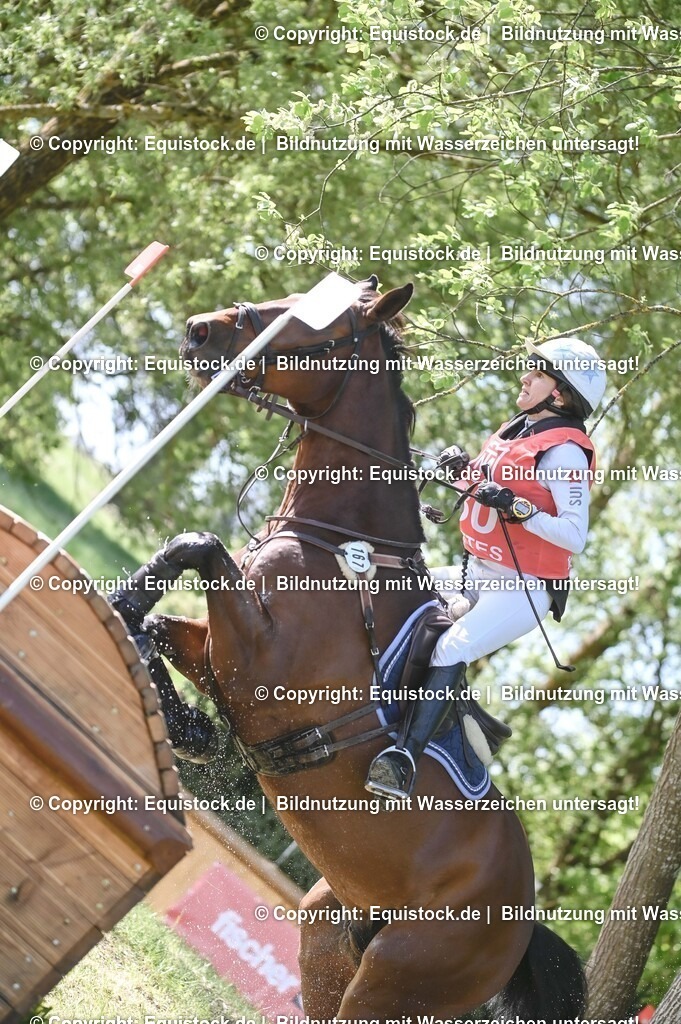 20250517_CCI2_Gelände_0828 | Foto: Thomas Hartig