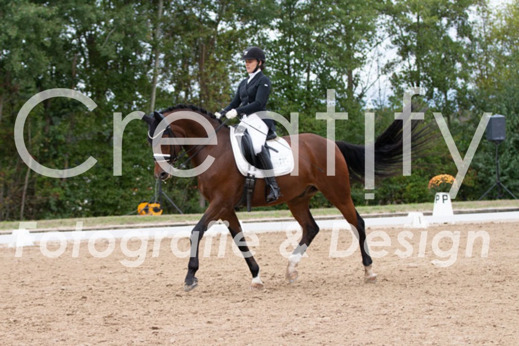 IMG_7425 | Creatify Fotografie