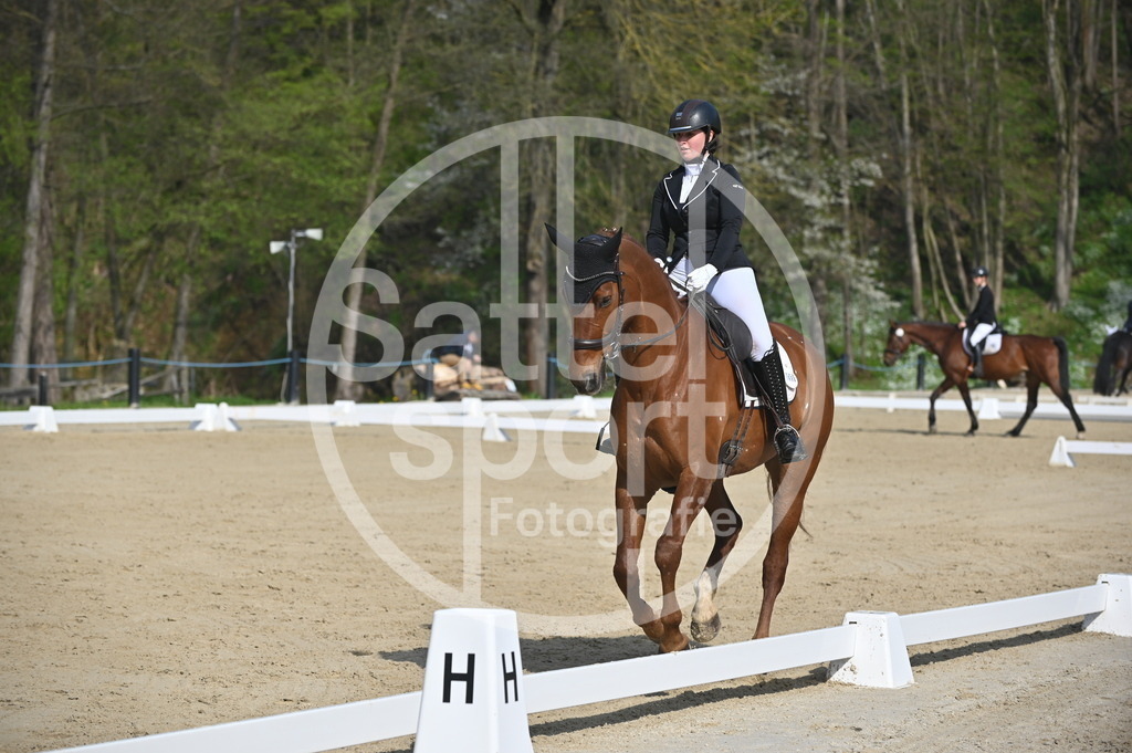 DSC_0483 | sattelsport - Realisiert mit Pictrs.com