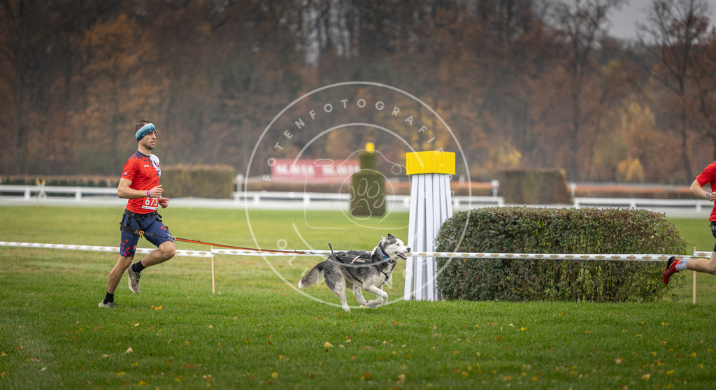 CaniXpix_DV3A9527 | Hundefotografie, Tierfotograf, Pfotenfotografie, Fotoshooting Hund, Hunde Portrait, Hundesport, Hundeportraits, Heideshooting, Hunde, Sportfotograf, Hundefotograf, Turnierhundsport, THS,  - Realisiert mit Pictrs.com