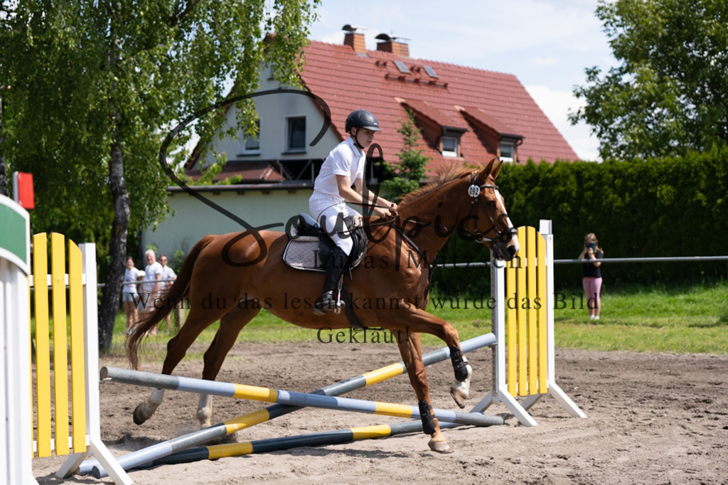 A7V03116 | Pferdefotograf