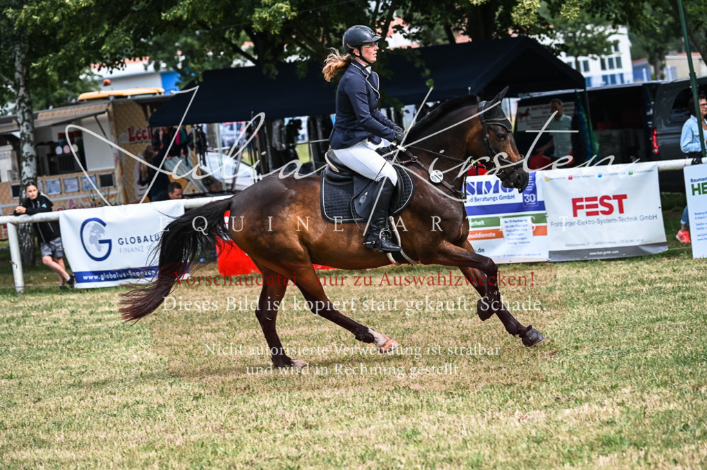 DSC_8250 | Pferde- und Turnierfotografie in Westsachsen. Pferdeportraits, Auftragszeichnungen und intuitive Kunst.