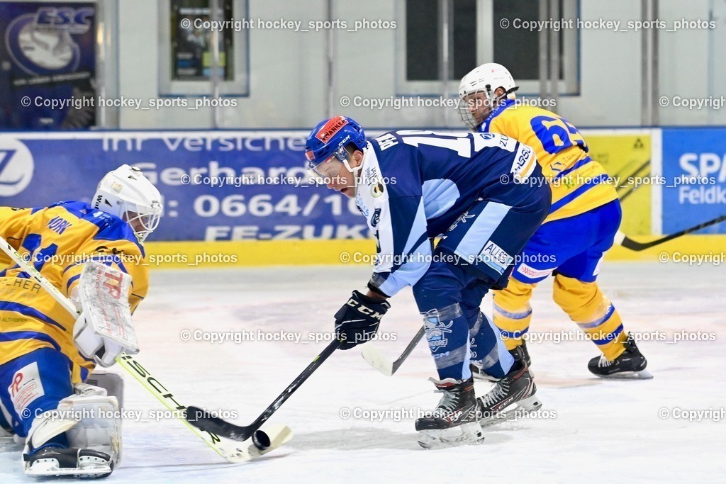 ESC Steindorf vs. EHC Althofen 13.1.2024 | #31 Horn Fabian, #18 Pewal Martin, #65 Lungkofler Gerald