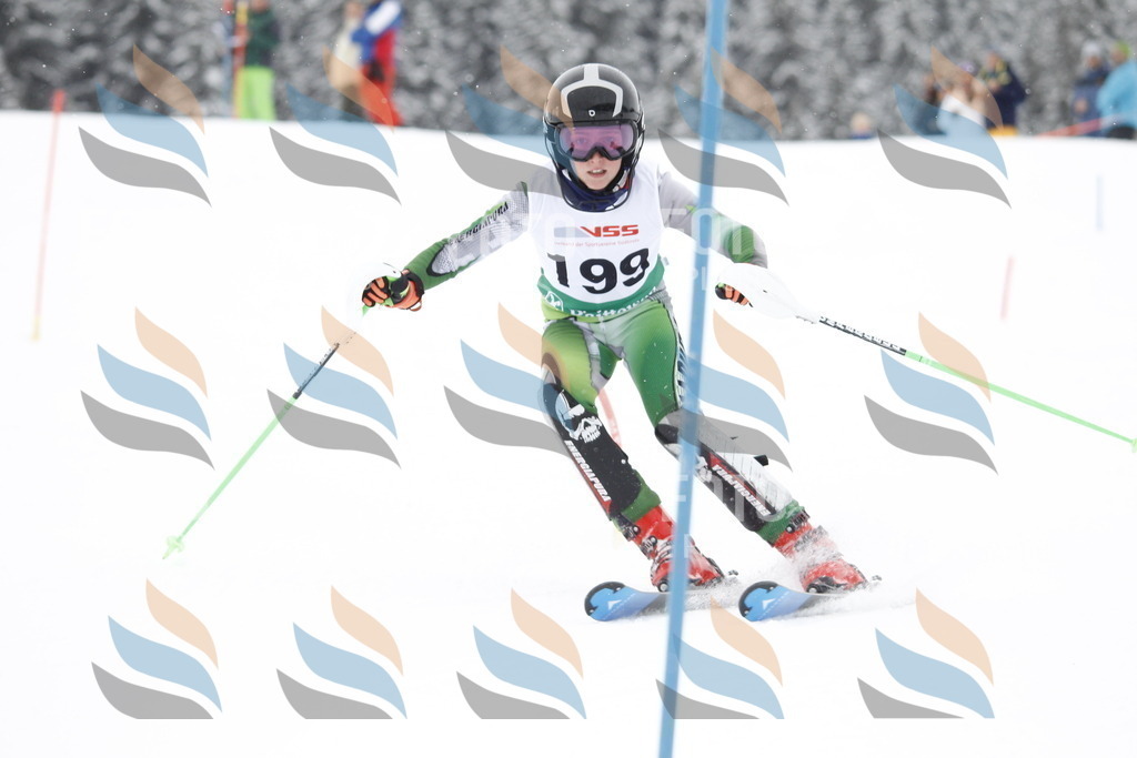 A2007 | holidayphoto