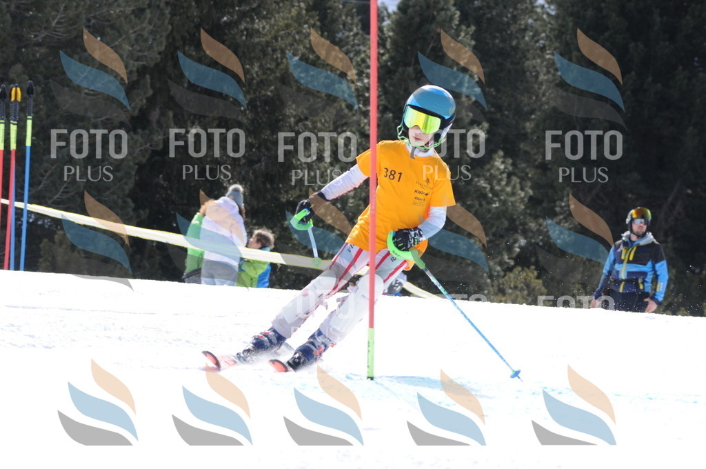 C9119 | holidayphoto