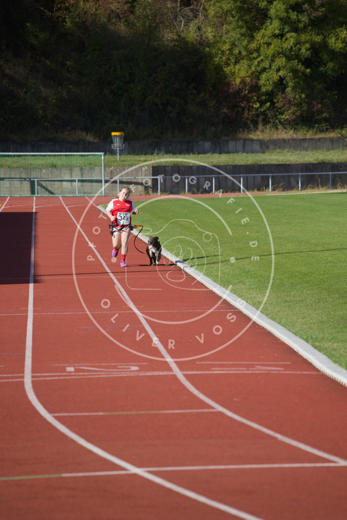 0L8A8872 | Hundefotografie, Tierfotograf, Pfotenfotografie, Fotoshooting Hund, Hunde Portrait, Hundesport, Hundeportraits, Heideshooting, Hunde, Sportfotograf, Hundefotograf, Turnierhundsport, THS,  - Realisiert mit Pictrs.com