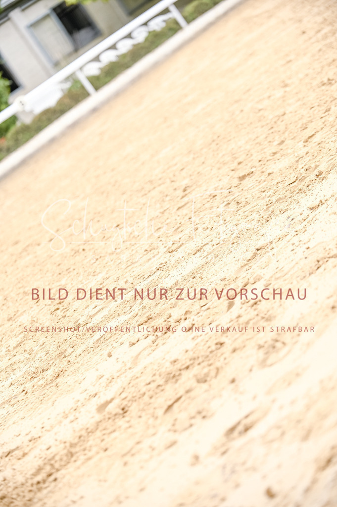 Schugtsche-Aluta25-42.EDressur -328 | Schugtsche Fotografie - Realized with Pictrs.com