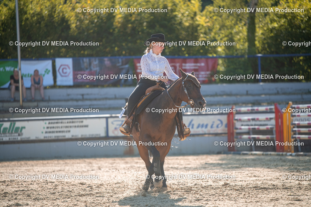 EWP_7085 | dv-media-shop - Realisiert mit Pictrs.com